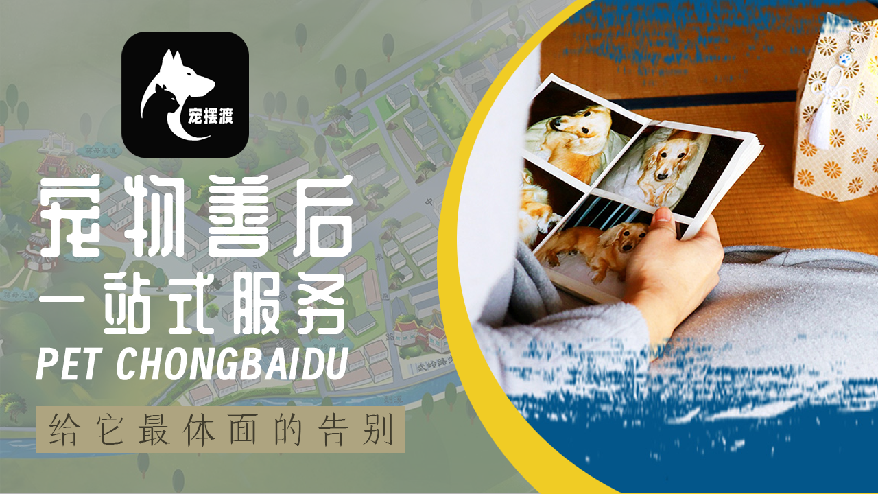 宠摆渡宠物殡葬