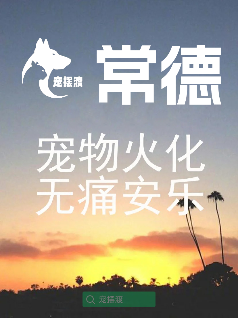 常德宠物身后事：宠物火化后的骨灰是否可以制作成纪念册？