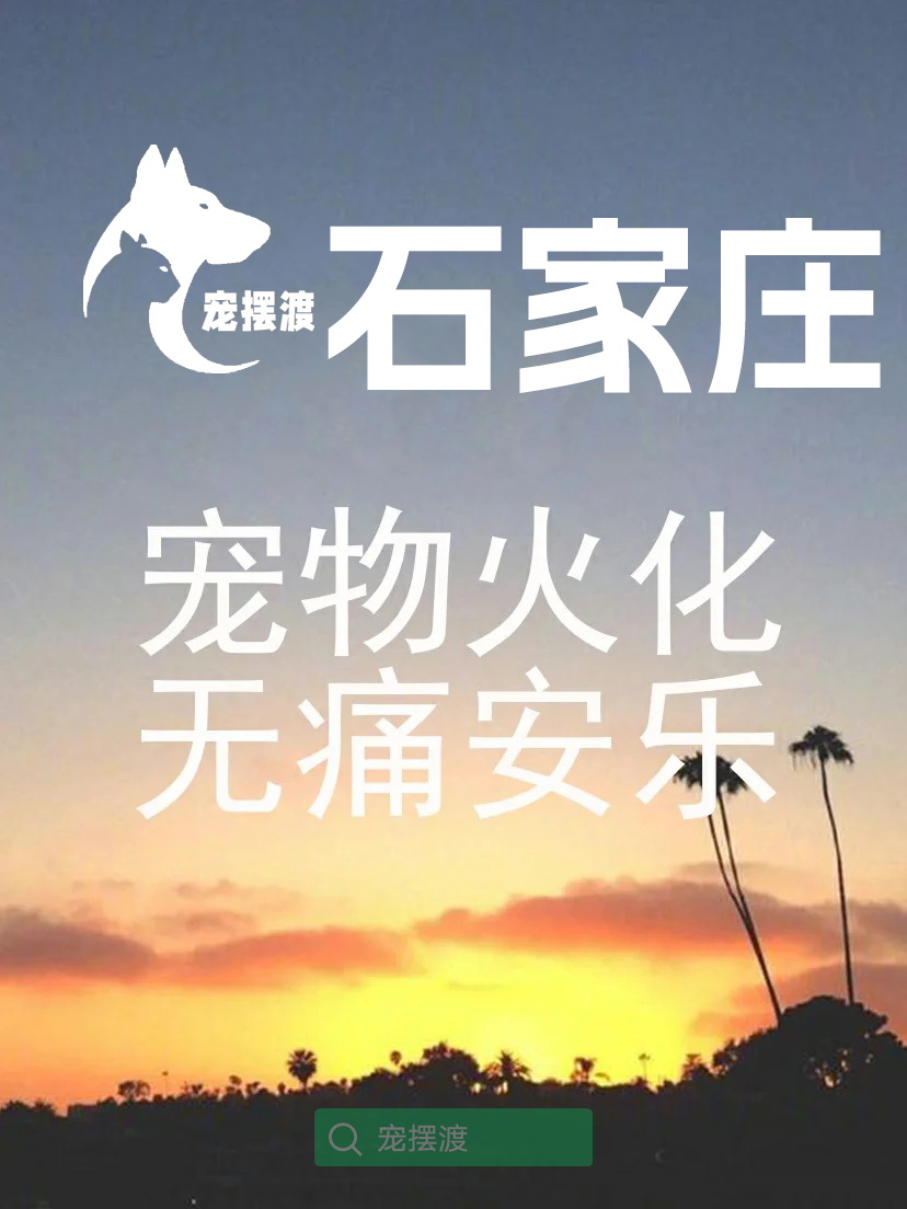 石家庄宠物善后：宠物离世后如何进行心理调适？