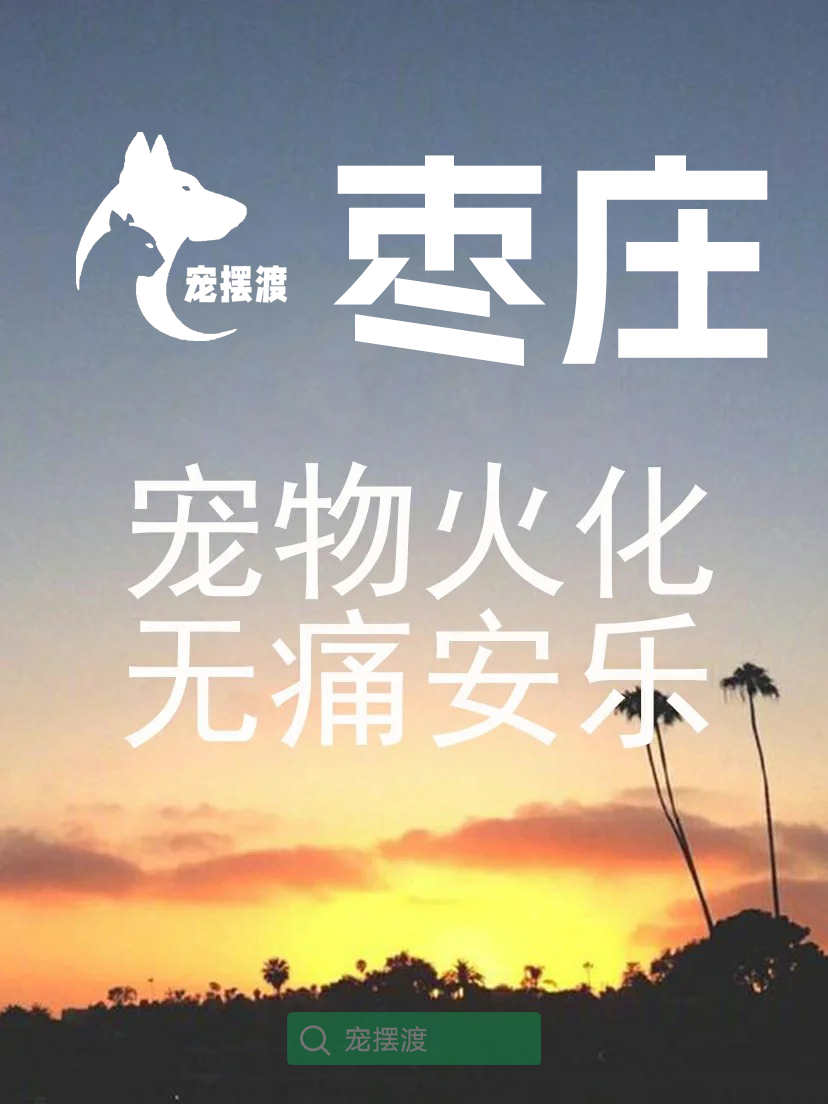枣庄宠物殡葬：宠物告别仪式上的纪念品展示