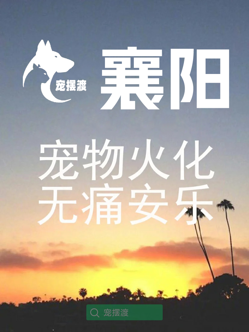 襄阳宠物殡葬：宠物告别仪式上的纪念品设计