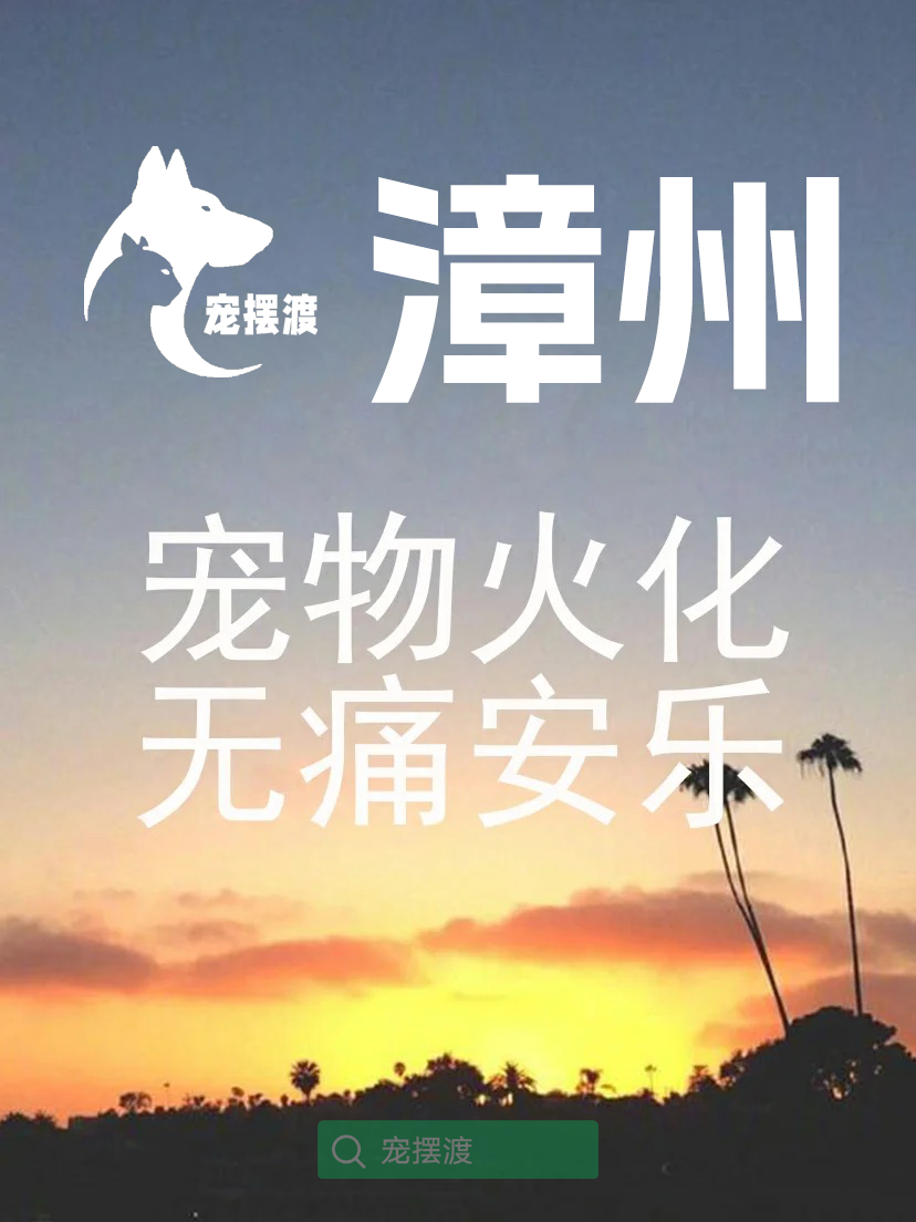 漳州宠物火化：如何选择适合的骨灰盒刻字内容？