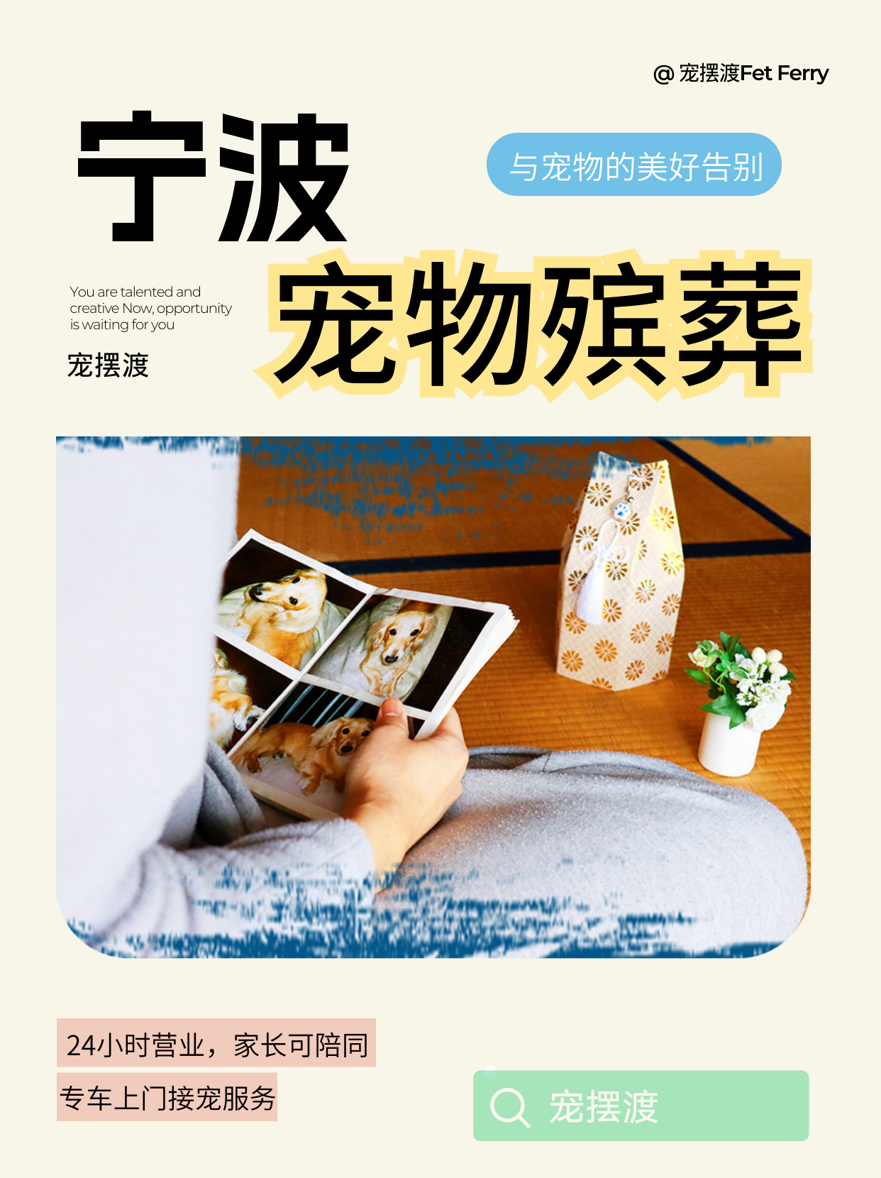 宁波宠物死在家中如何应对？