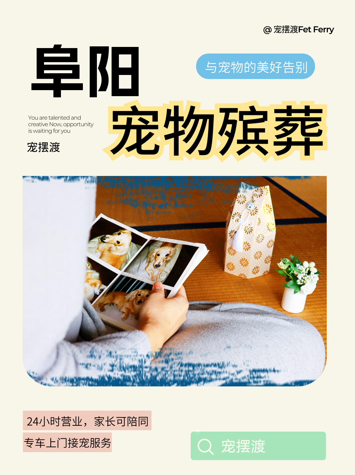 阜阳宠物殡葬，用爱为生命送行🥰​