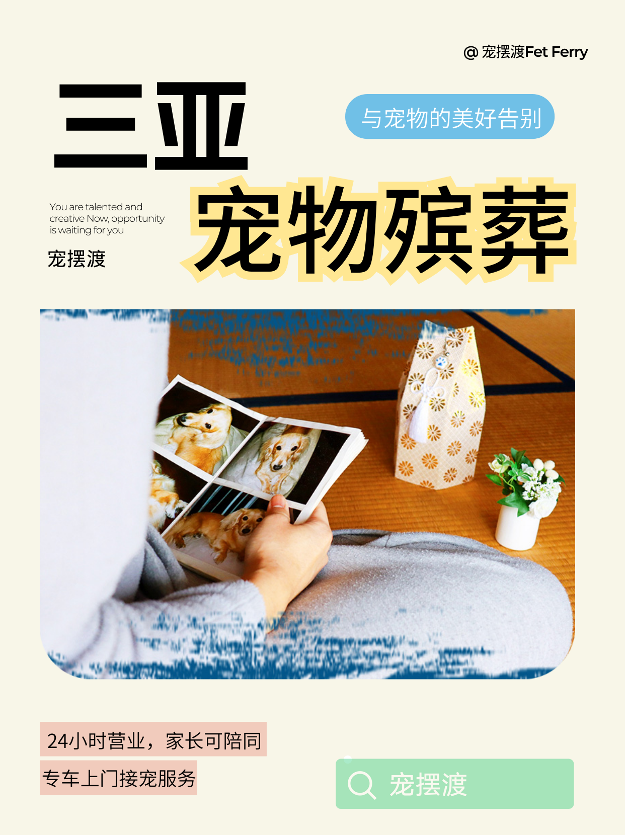 三亚宠物单独火化VS集体火化，怎么选？