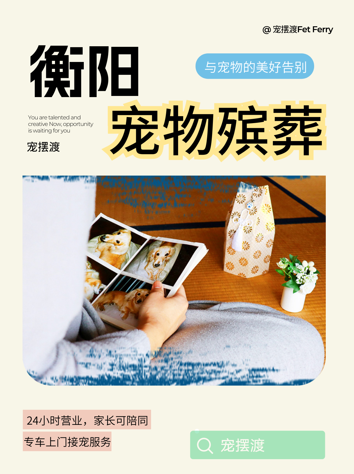 衡阳宠物殡葬，让爱宠安心踏上新旅程✈️​