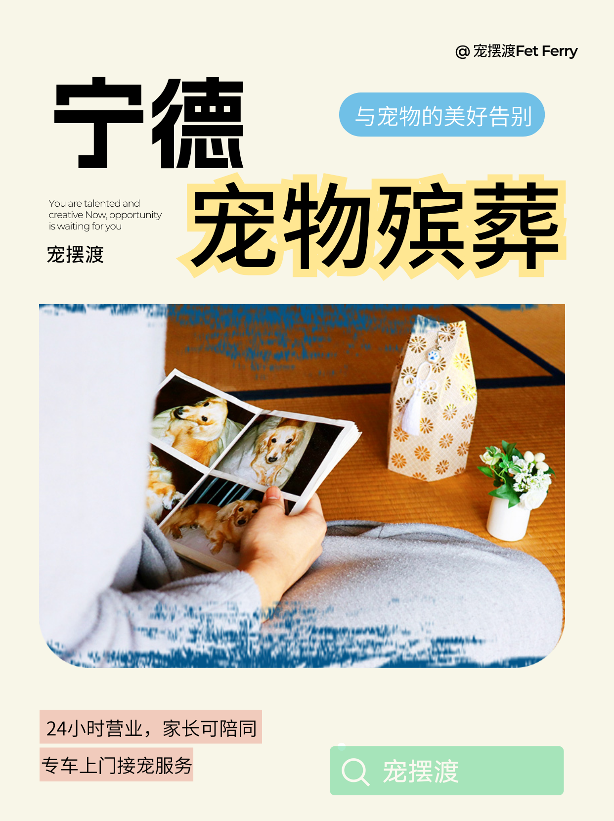 宁德宠物殡葬，为毛孩子的生命画上圆满句号🎊​