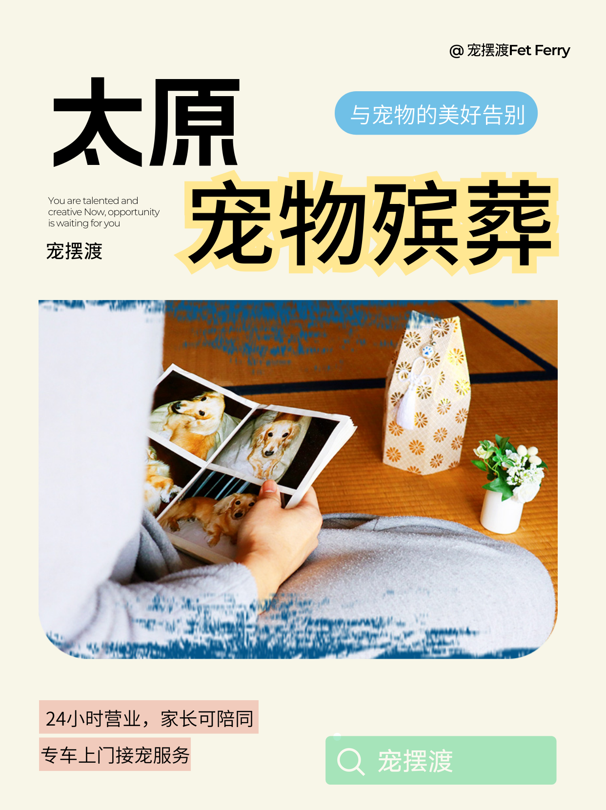 太原宠物殡葬机构服务特色对比​