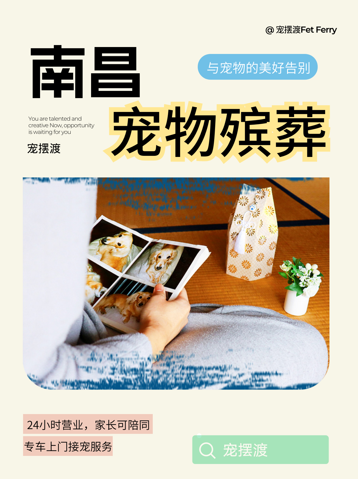 南昌再见了，我的毛茸茸朋友