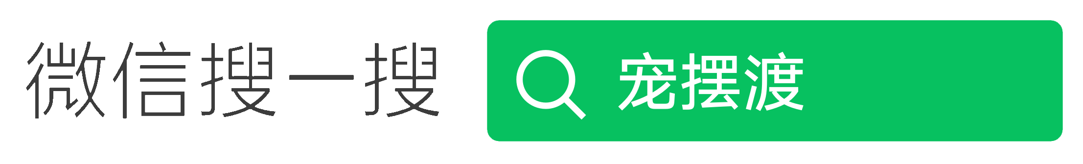 宠摆渡 | 宠物殡葬宠物火化一站式服务